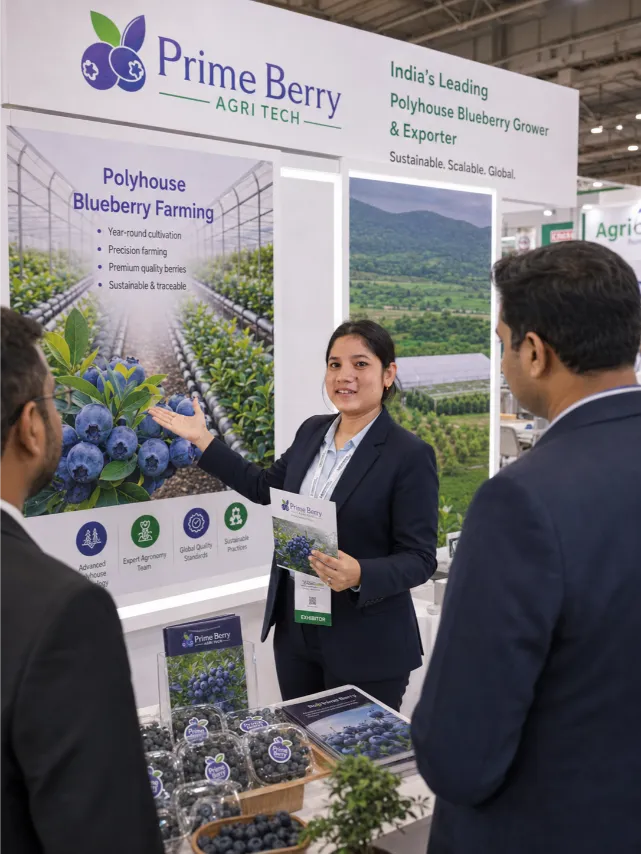 PrimeBerry Goma Expo 2